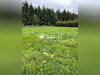 Ma-Cabane - Vente Terrain Saint-Jacques-sur-Darnetal, 795 m²