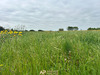 Ma-Cabane - Vente Terrain SAINT-JEAN-DE-LIVERSAY, 4456 m²