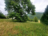 Ma-Cabane - Vente Terrain SAINT-JEAN-DU-CASTILLONNAIS, 3741 m²