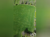 Ma-Cabane - Vente Terrain Saint-Jean-Soleymieux, 3155 m²