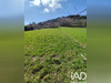 Ma-Cabane - Vente Terrain Saint-Jean-Soleymieux, 3155 m²