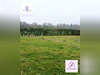 Ma-Cabane - Vente Terrain Saint-Jean-sur-Vilaine, 1400 m²