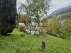 Ma-Cabane - Vente Terrain Saint-Jorioz ()., 1000 m²