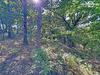 Ma-Cabane - Vente Terrain SAINT JOSEPH DES BANCS, 1166 m²