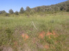 Ma-Cabane - Vente Terrain SAINT-JULIEN, 4388 m²
