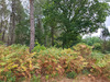 Ma-Cabane - Vente Terrain SAINT JULIEN EN BORN, 40000 m²