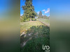 Ma-Cabane - Vente Terrain Saint-Julien-sur-Garonne, 1013 m²