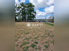 Ma-Cabane - Vente Terrain Saint-Junien, 3500 m²