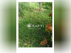 Ma-Cabane - Vente Terrain Saint-Laon, 1210 m²