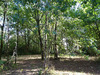 Ma-Cabane - Vente Terrain SAINT-LAURENT-DES-HOMMES, 10260 m²