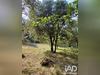Ma-Cabane - Vente Terrain Saint-Laurent-le-Minier, 5647 m²