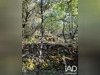 Ma-Cabane - Vente Terrain Saint-Laurent-le-Minier, 5647 m²