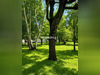 Ma-Cabane - Vente Terrain Saint-Laurent-Médoc, 762 m²