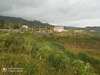 Ma-Cabane - Vente Terrain SAINT LEU, 790 m²
