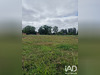 Ma-Cabane - Vente Terrain Saint-Macaire-du-Bois, 738 m²