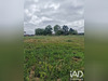 Ma-Cabane - Vente Terrain Saint-Macaire-du-Bois, 738 m²