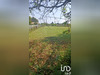 Ma-Cabane - Vente Terrain Saint-Magne-de-Castillon, 1171 m²