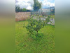 Ma-Cabane - Vente Terrain SAINT MAIXENT L ECOLE, 499 m²