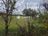 Ma-Cabane - Vente Terrain Saint-Marcet, 1500 m²