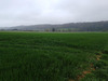 Ma-Cabane - Vente Terrain SAINT MARD DE RENO, 19000 m²