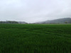 Ma-Cabane - Vente Terrain SAINT MARD DE RENO, 19000 m²
