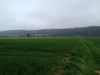 Ma-Cabane - Vente Terrain SAINT MARD DE RENO, 19000 m²