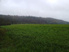 Ma-Cabane - Vente Terrain SAINT MARD DE RENO, 19000 m²
