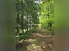 Ma-Cabane - Vente Terrain SAINT MARS SUR LA FUTAIE, 30695 m²