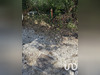 Ma-Cabane - Vente Terrain Saint-Martial-de-Vitaterne, 6027 m²