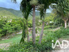 Ma-Cabane - Vente Terrain Saint Martin, 2000 m²
