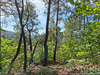 Ma-Cabane - Vente Terrain SAINT-MARTIN-DE-BOUBAUX, 24800 m²
