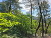 Ma-Cabane - Vente Terrain SAINT-MARTIN-DE-BOUBAUX, 24800 m²