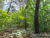 Ma-Cabane - Vente Terrain SAINT-MARTIN-DE-BOUBAUX, 24800 m²