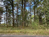 Ma-Cabane - Vente Terrain SAINT MARTIN DE FRESSENGEAS, 3300 m²