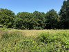 Ma-Cabane - Vente Terrain SAINT MARTIN DU VIVIER, 3250 m²