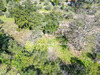 Ma-Cabane - Vente Terrain SAINT-MAXIMIN-LA-SAINTE-BAUME, 925 m²
