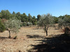 Ma-Cabane - Vente Terrain Saint-Maximin-la-Sainte-Baume, 3107 m²