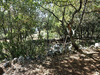 Ma-Cabane - Vente Terrain Saint-Maximin-la-Sainte-Baume, 3107 m²