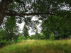 Ma-Cabane - Vente Terrain SAINT-MEDARD-DE-MUSSIDAN, 1865 m²