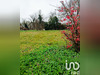 Ma-Cabane - Vente Terrain Saint-Nauphary, 661 m²