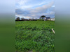 Ma-Cabane - Vente Terrain Saint-Pabu, 470 m²