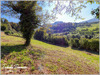 Ma-Cabane - Vente Terrain SAINT PAUL D IZEAUX, 2645 m²