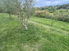 Ma-Cabane - Vente Terrain Saint-Paul-de-Vence, 1006 m²