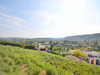 Ma-Cabane - Vente Terrain Saint-Paul-de-Vence, 1774 m²