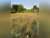 Ma-Cabane - Vente Terrain Saint-Paul-lès-Dax, 530 m²