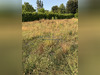 Ma-Cabane - Vente Terrain Saint-Paul-lès-Dax, 530 m²