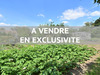 Ma-Cabane - Vente Terrain Saint-Philbert-de-Bouaine, 500 m²