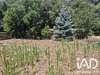 Ma-Cabane - Vente Terrain Saint-Pierre-d'Exideuil, 910 m²