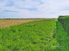 Ma-Cabane - Vente Terrain SAINT-PIERRE-DE-CHANDIEU, 1384 m²