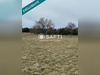 Ma-Cabane - Vente Terrain Saint-Remèze, 1160 m²